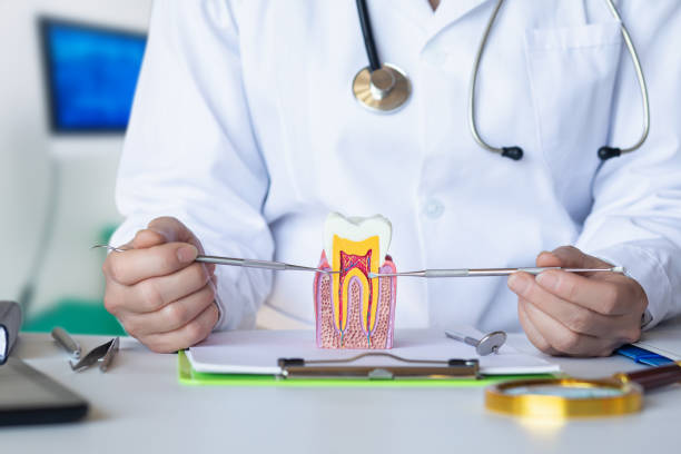Best Emergency Root Canal Treatment in Apple Creek, OH